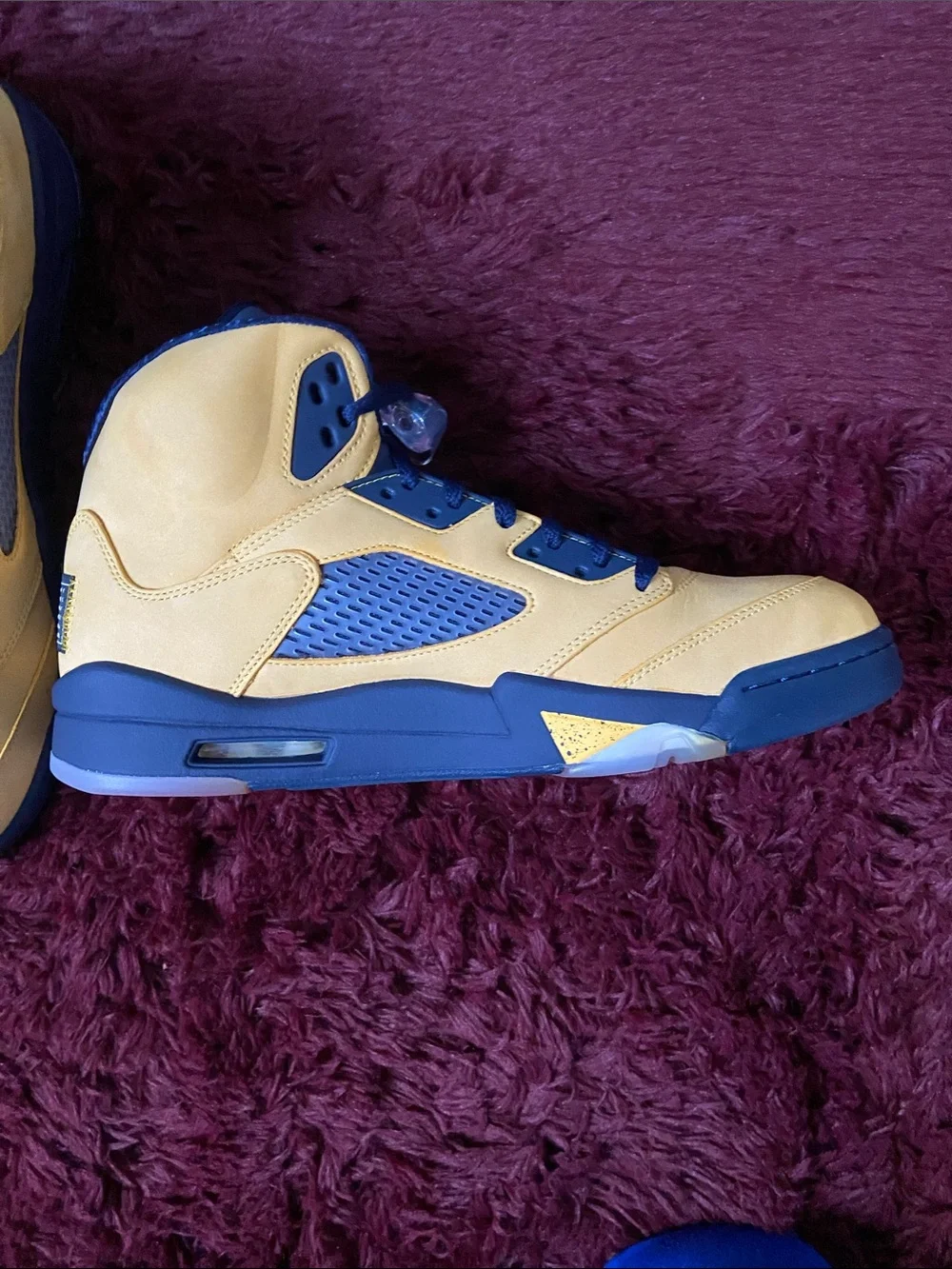 Jordan 5 Retro SP MICHIGAN